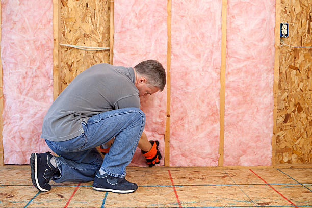 Best Types of Insulation in Avenue B And C, AZ